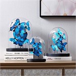 Коллекционные бабочки Морфо под стеклянным куполом клош 10260 - Onlainsale HOME