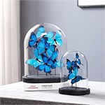 Коллекционные бабочки Морфо под стеклянным куполом клош 10260 - Onlainsale HOME
